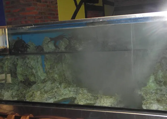 Отель Marfrei 4*