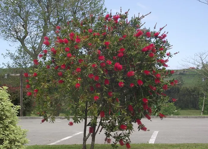 Marfrei Отель 4*