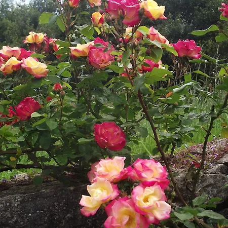 Szálloda Marfrei Hinojedo