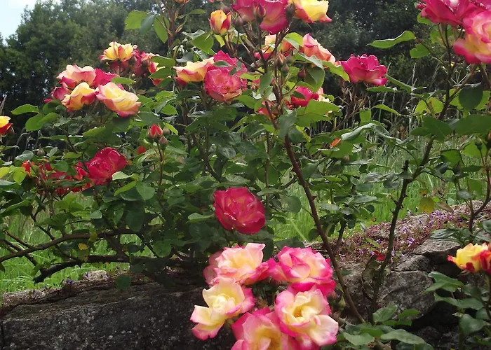 Szálloda Marfrei Hinojedo